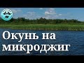 В поисках окуня. Ладога  2019.