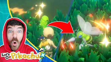 Shiny Weedle, Shiny Kakuna & Shiny Beedrill! | Pokemon Let