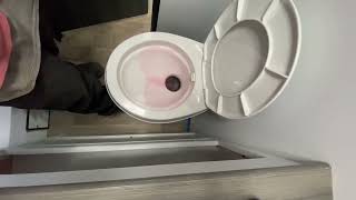 How To Winterize Your Rv In Minutes