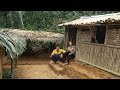 Build a bamboo house with my sister  -  live in my bamboo house off the grid