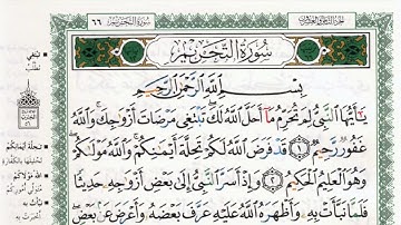 سورة التحريم بصوت الشيخ ماهر المعيقلي مكتوبة ومجودة - Surah At Tahrim by Maher Al Muaiqly