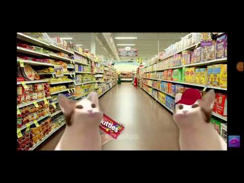 skittle meme pop cat