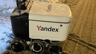 Yandex  Russia  🇷🇺 robot delivery 📦 Мурино