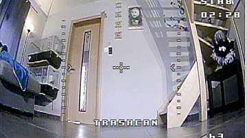 Probleme Eachine Trashcan