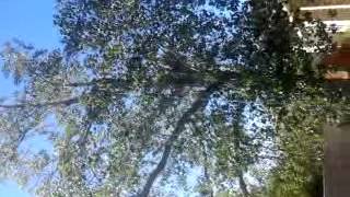 VID 20121112 124500