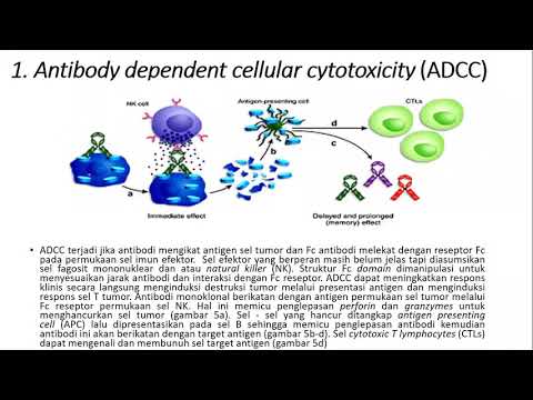 Video: Pembangunan Antibodi Monoklonal Spesifik Kepada Domain Endonuclease Protein LINE-1 ORF2 Manusia