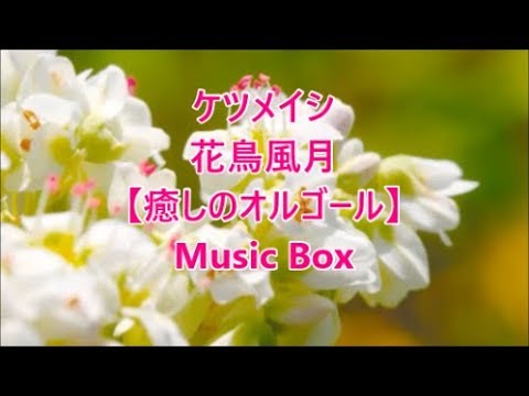 ケツメイシ 花鳥風月 癒しのオルゴール Music Box Youtube