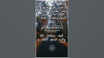 #قدر_تعبي_بلايك_واشراك #تلاوة_خاشعة #راحة_نفسية #اسلام_صبحي #quran #فلسطين_حرة