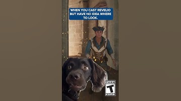 Revelio! #hogwartslegacy #harrypotter #gaming #hogwarts