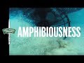 Our Ethos - Amphibiousness