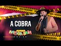 Arriba Saia - A Cobra