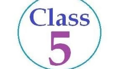 class 5 th ex 5.3 Punjab school Education board PSEB NCERT #PSEB #NCERT #Punjab #School