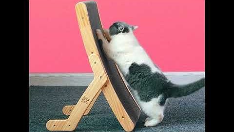 Cat Scratcher Scraper Lounge Bed Wooden Frame Cat Scratching Board | Dog & Cat Supplies