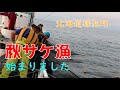 【北海道様似町】秋サケ漁シーズン始まりました
