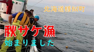 【北海道様似町】秋サケ漁シーズン始まりました