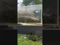 squirrel attacks bird feeder!