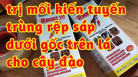trị tuyến trùng rễ kiến rệp sáp gốc và trị rầy rệp kiến sâu trên cành trên lá cây đào 023 106