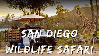 San Diego Wildlife Safari | Tham quan San Diego Safari