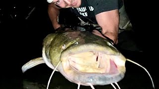 Pittsburgh GIANT CATFISH From Shore!