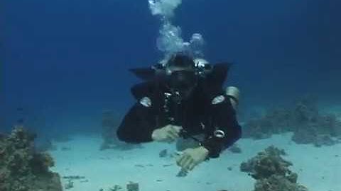 (5thD-X) Essentials Of Technical Diving (Stages - Stage Switch)