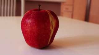 Objects Trailer