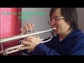 Victory Theme From Plants Vs. Zombies - Trumpet Cover