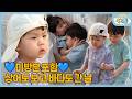 ✨우형제 IN 대만✨ 물 만난 정우가 만난 물고기의 정체는!?️ | 슈퍼맨이 돌아왔다 KBS 260429 방송