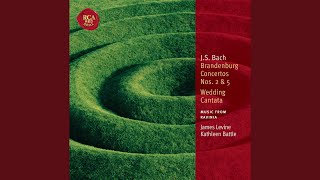 Orchestral Suite No. 2 In B Minor, Bwv 1067: I. Overture Resimi