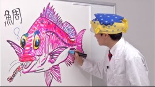 さかなクンのお魚図鑑 マダイ編 Youtube