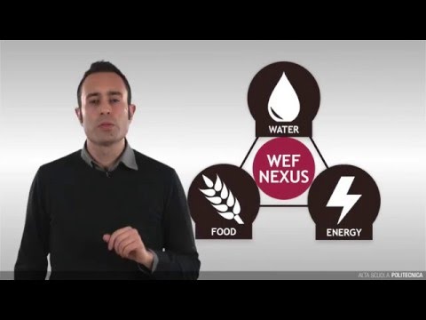The Water-Energy-Food Nexus (Gabriele Cassetti)