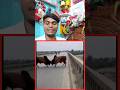 #tranding #facts #viral short #comedy #funny #facts videos #viral #trend #funny #love #shorts #fun