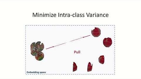 Image Retrieval under Large Intra-class Variance by Deep Metric Learning