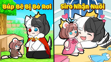 Mèo Simmy Búp Bê Bị Bỏ Rơi Được Cậu Chủ Siro Nhận Nuôi Trong Minecraft