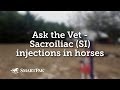 Ask the Vet - Sacroiliac (SI) injections in horses