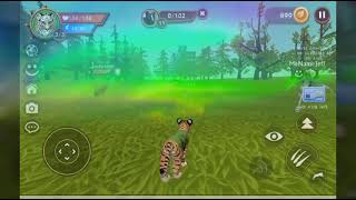 Skunk Is Having A Bad Day.