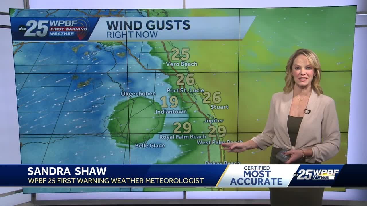 Blustery with partly cloudy skies for South Florida - YouTube
