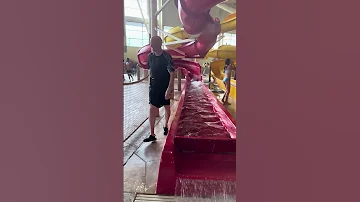 Cute Girls At Great Wolf Lodge WATERPARK Splash Smiles So Much Fun Greatwolflodge Shorts 