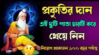 ১০০ বছরেও সুস্থ থাকার রহস্য||The secret of staying healthy even in 100 years||buddha moral story