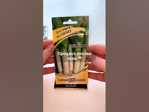 Процесс посева лука на рассаду🧅 #изгородавсело #жизньвдеревне # ...