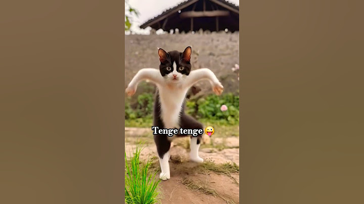Tenge is the best 😂! I miss him tenge tenge #funny #cat #cartoon #cutebaby