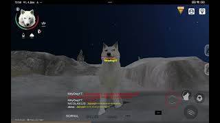 КАК ПОЛЬЗОВАТЬСЯ КОНСОЛЕМ??? ОТВЕТ ТУТ! [Wo2] [wolf online 2]