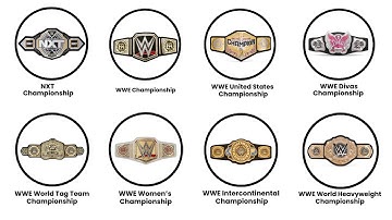 Every WWE Championships Explained in 7 Minutes