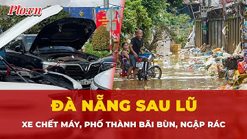 Ô tô nằm bùn hàng loạt, phố ngập rác sau khi lũ rút ở Đà Nẵng | Tin nhanh