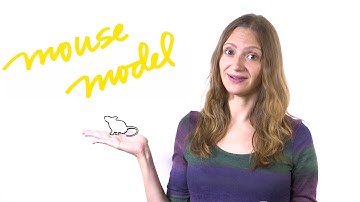What is a mouse model?