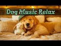 Музыка сна для собак 💤 Лечебные мелодии для расслабления, снижения стресса и крепкого сна 🐕💕