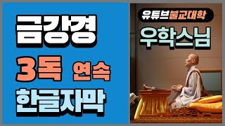 금강경 3독 / 우학스님 독송 (한글자막)