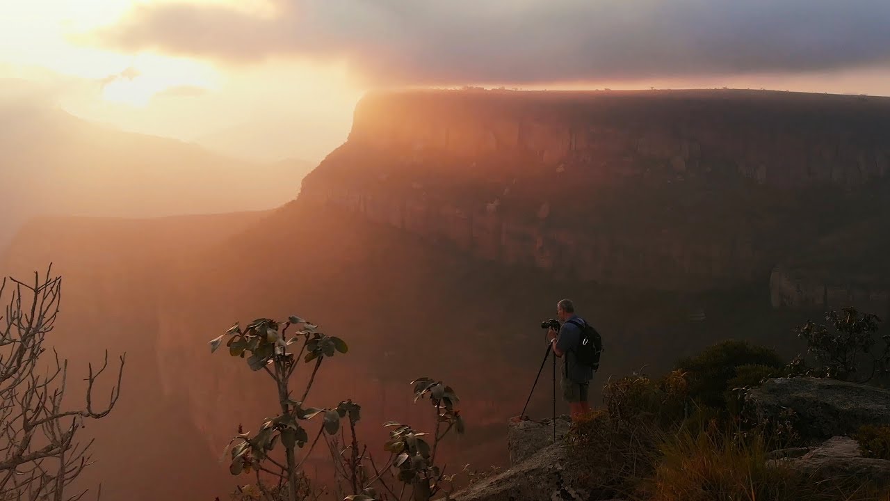 DJI JAPAN DJI Mavic Air -「Song of Myself」