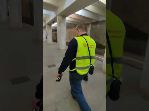 ходят дружным строем