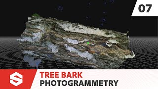 Tree Bark - Photogrammetry | Substance 3D