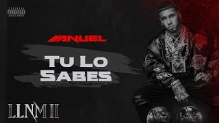Anuel AA - Tu Lo Sabes (Visualizer Oficial) | LLNM2 by Anuel AA 7,916,656 views 1 year ago 3 minutes, 58 seconds